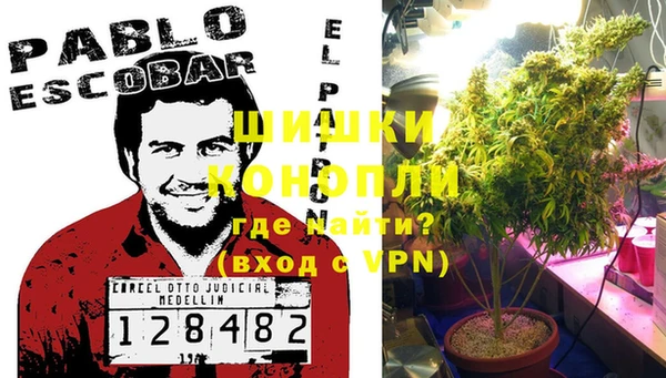тгк Тосно