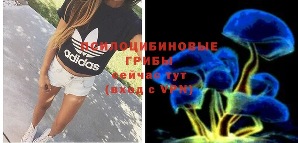 ALPHA PVP Осташков